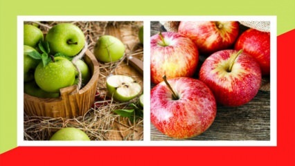 Да ли ће се зелена и црвена јабука дебљати? Мршављење едематозном детоксикацијом зелене јабуке