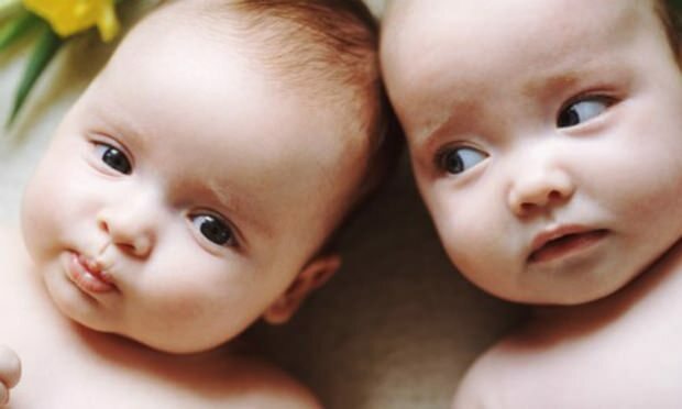 Ако у породици постоје близанци, хоће ли се повећати шанса за трудноћу близанце? Коњи генерације?