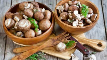 Како очистити печурке? Који су савети за прање печурака?