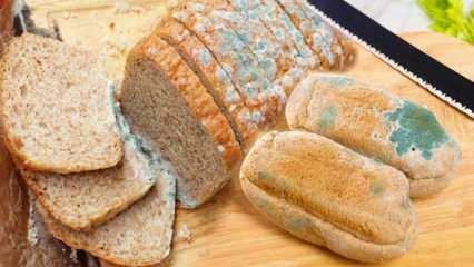 Како спречити буђење хлеба у Рамазану? Начини да спречите да хлеб постане устајао и буђав