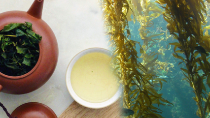 Које су предности маховине? Како направити чај од морских алги и за шта је добар?