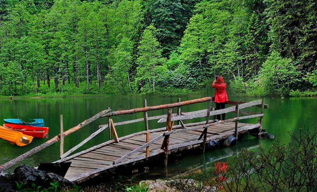 Где Артвин? Где ићи у Артвину? Која су места која треба посетити у Артвину?