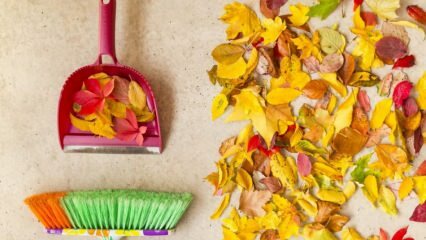 Практичне методе за јесенско чишћење