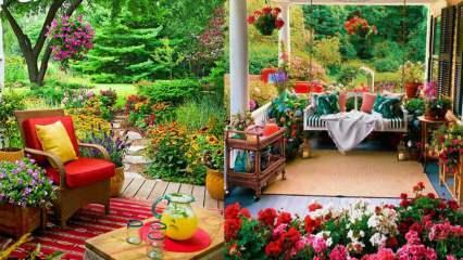 Цвеће које можете користити у својој башти и на балконима у јесен!