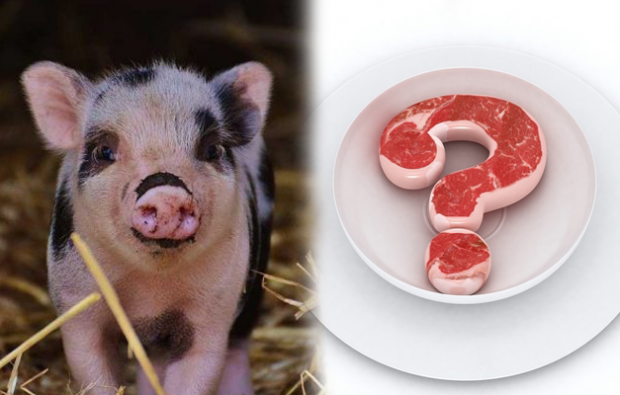 Да ли је забрањено јести свињетину?