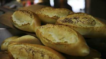 Како се оцењује устаљени хлеб? Рецепти направљени од хлеба