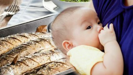 Да ли се риба може јести током дојења?