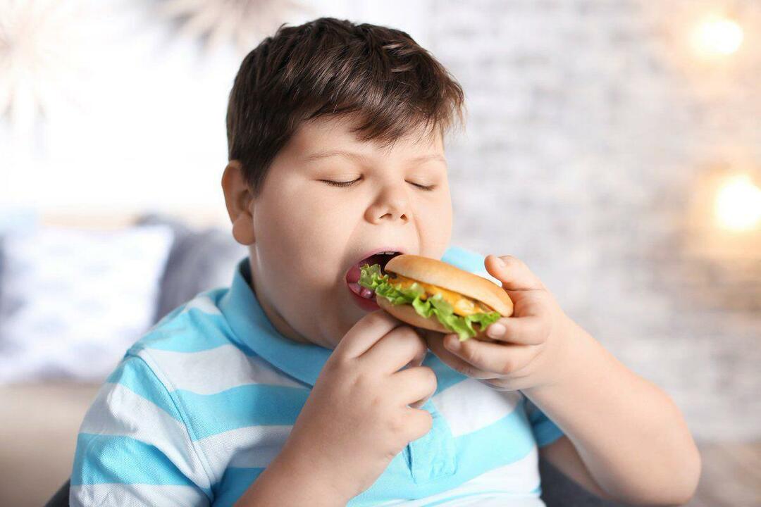 Шта је гојазност код деце