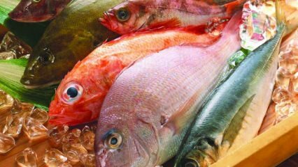 Утицај рибе на имунитет! Које су предности рибе? Како конзумирати најздравију рибу?