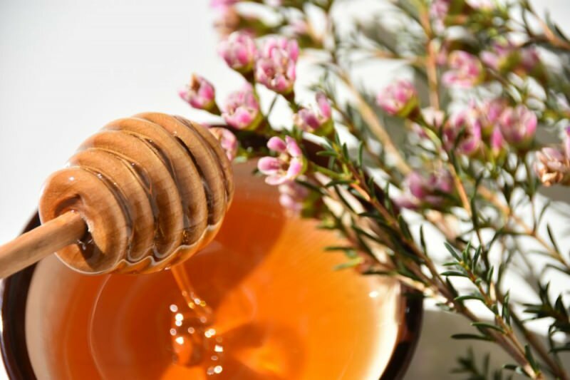 манука мед направљен од цвијета манука