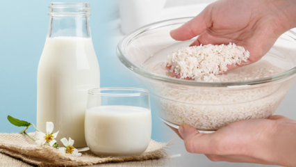 Како припремити пиринчано млеко за сагоревање масти? Метода мршављења са пиринчаним млеком