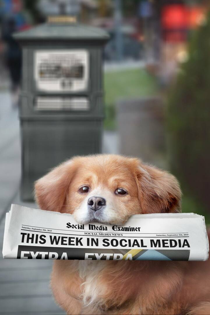 Мееркат представља хеш-ознаке уживо: Ове недеље на друштвеним мрежама: Испитивач друштвених медија