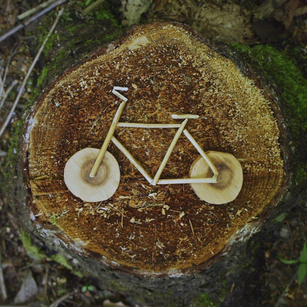 Дизајн бицикла на дрвету