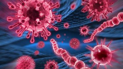 Шта је вирус Мерс? Који су симптоми вируса Мерс? Како се преноси вирус Мерс?