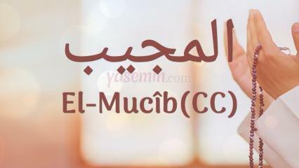 Шта значи ал-Мујиб (ц.ц)? Које су врлине имена Ал-Мујиб? Есмаул Хусна Ал-Муџиб...