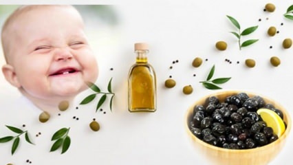 Прављење маслина са мало соли за бебе! У ком месецу треба давати маслине бебама?