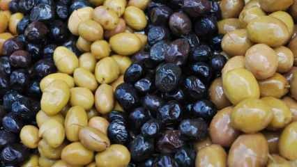 Како препознати лажне маслине? Како маслина добија црну боју? Да потамни маслину ...