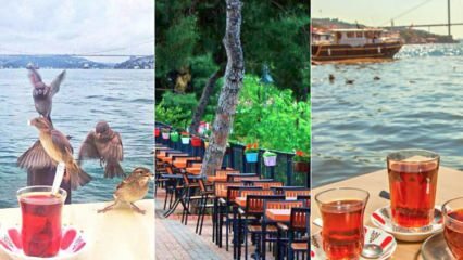 Породичне чајне баште на Истанбулској страни Истанбула