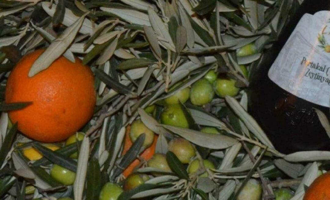 Предузетнице из Баликесира произвеле су наранџасто маслиново уље!