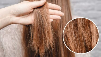 Шта се ради са горућом косом из средине? Како треба одржавати третирану косу?