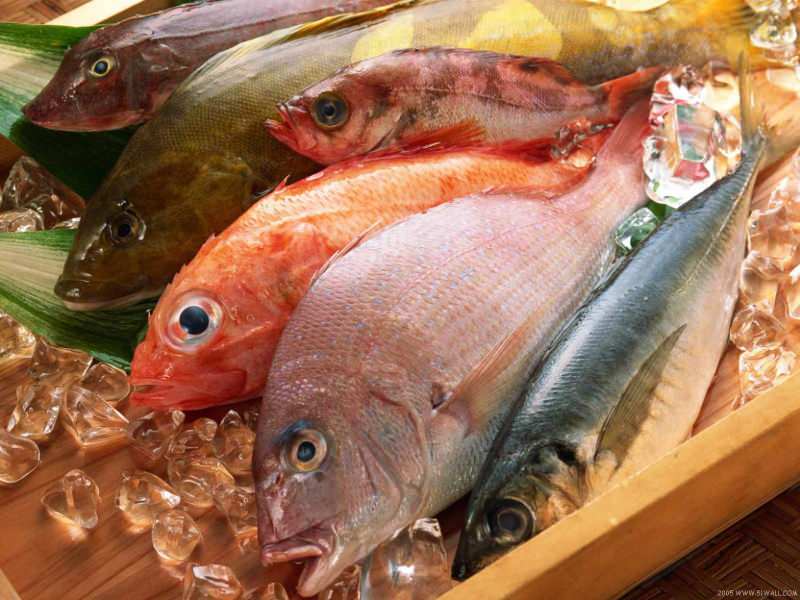 Савети за одабир свеже рибе од жирија Мастерцхефа Мехмета Цхефа