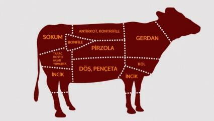 Који су делови говедине? Које месо се сече из ког региона?