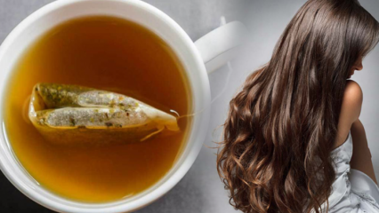 Које су предности зеленог чаја за косу? Рецепт за маску од зеленог чаја од коже