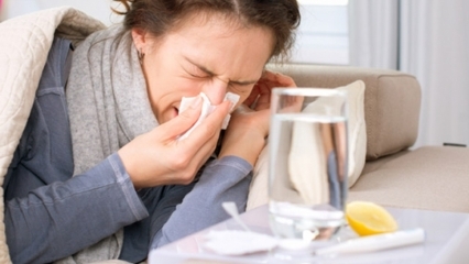 Које су намирнице добре за прехладу и грип? 5 намирница које спречавају грип ...
