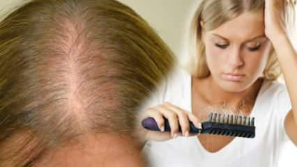 Који је најефикаснији метод против губитка косе? Маскирајте рецепте који заустављају губитак косе
