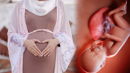 Молитве које треба читати како би се беба здравила током трудноће и сећања на Хусеиинове жеље