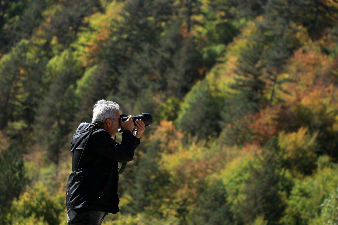 Планина Илгаз: Овде су све боје јесени