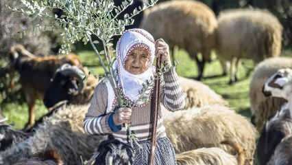 Тетка Фатма је пастир у подножју планина Аманос већ пола века!