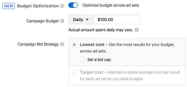 Фацебоок пружа предузећима лакши начин управљања буџетом за огласе и осигурава оптималне резултате помоћу новог алата за оптимизацију буџета кампање.