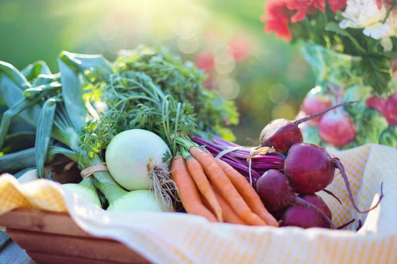 Шта је биљна дијета? Како направити прехрану од поврћа
