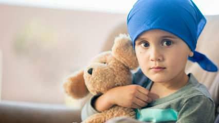 Шта је рак крви (леукемија)? Симптоми и лечење леукемије код деце