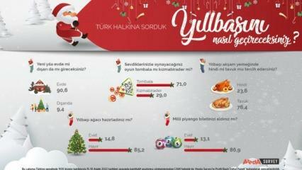 Ареда Сурвеи расправљало о новогодишњим преференцијама турског народа! Пилеће месо је ћуреће месо у новој години...
