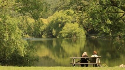 Како доћи до шуме Беинам Ататурк? Подручја шеталишта Анкара ...