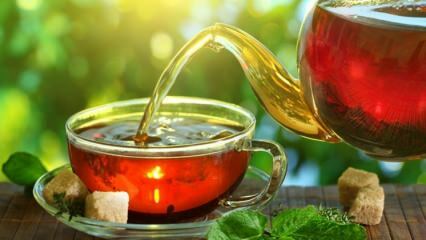 Колико чаја треба пити током трудноће?