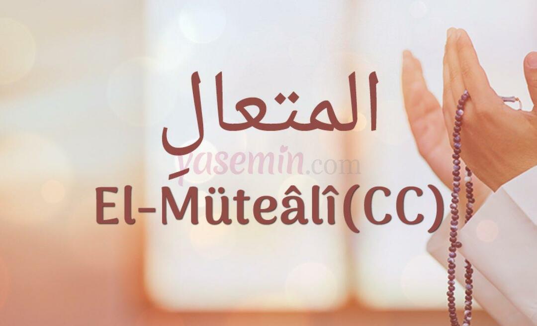 Шта значи ал-Мутаали (ц.ц)? Које су врлине ал-Мутаалија (ц.ц)?