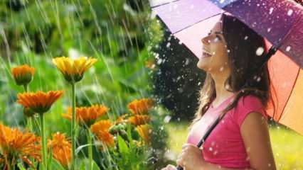 Да ли је априлска киша лечење? Које су молитве да се прочитају у кишници? Предности априлске кише