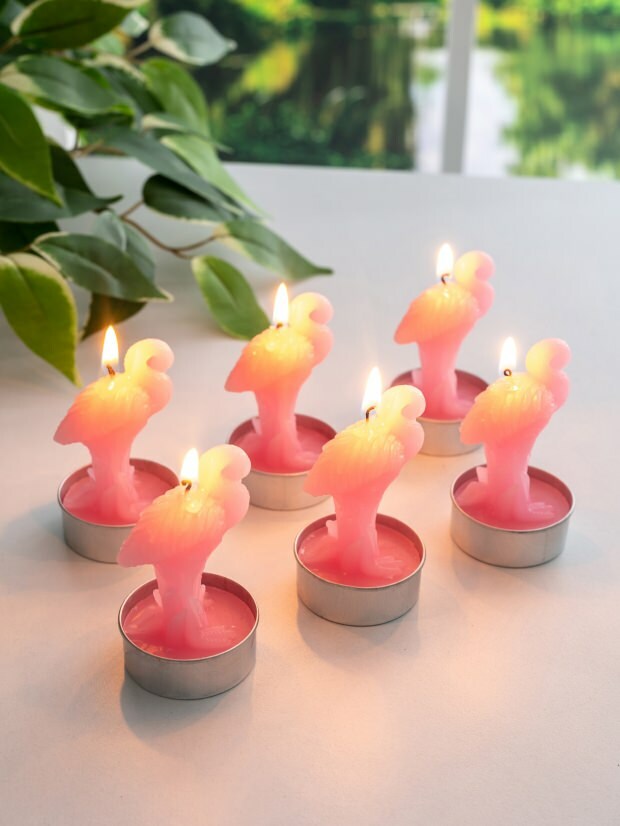 Модели држача свећа