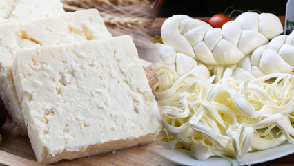 Како разумети добар сир? Савети за избор сира