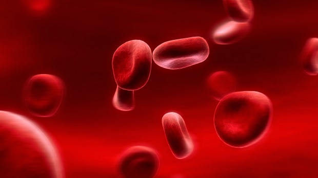 Шта је дијета крвних група? Како се то ради?