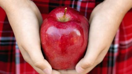 Како се оцењују труле јабуке? 