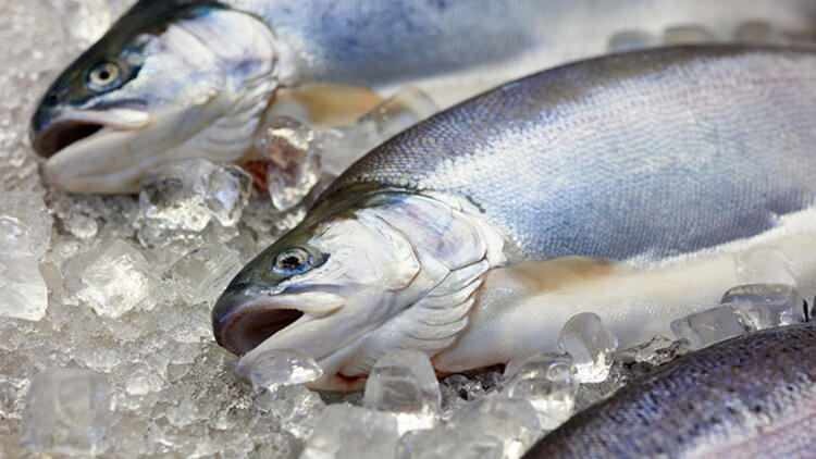 Да ли се мења укус рибе бачене у замрзивач?