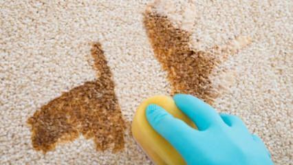 Како направити спреј за чишћење тепиха код куће?