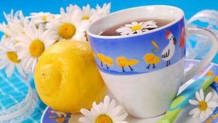 Препорука биљног чаја из Сарацоглу-а током трудноће! Да ли је штетно за труднице да пију биљни чај?
