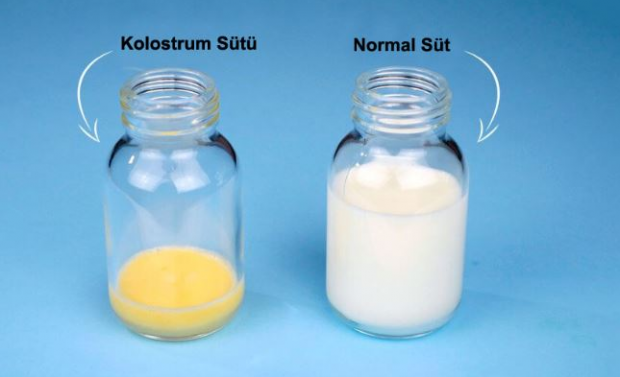Које су предности колострум млека за бебу? Разлике од мајчиног млека