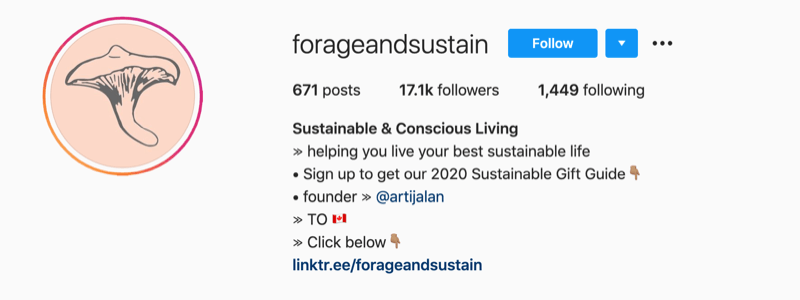 пример Инстаграм профила из @форагеандсустаин са напоменом у информацијама о њиховом профилу да бисте кликнули на био везу за више информација