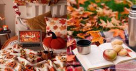 Које активности је најбоље радити у јесен? Активности које треба радити код куће у јесен...